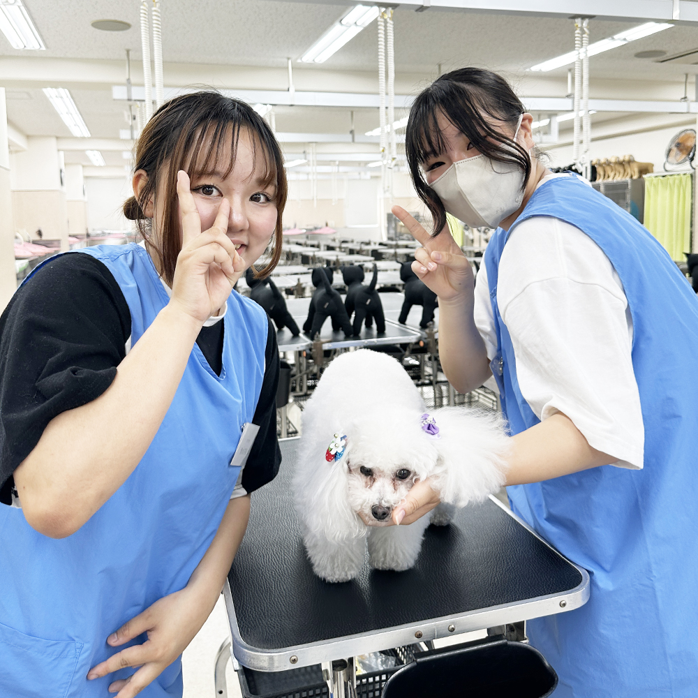 高校３年生対象！入学前のプレ授業♪